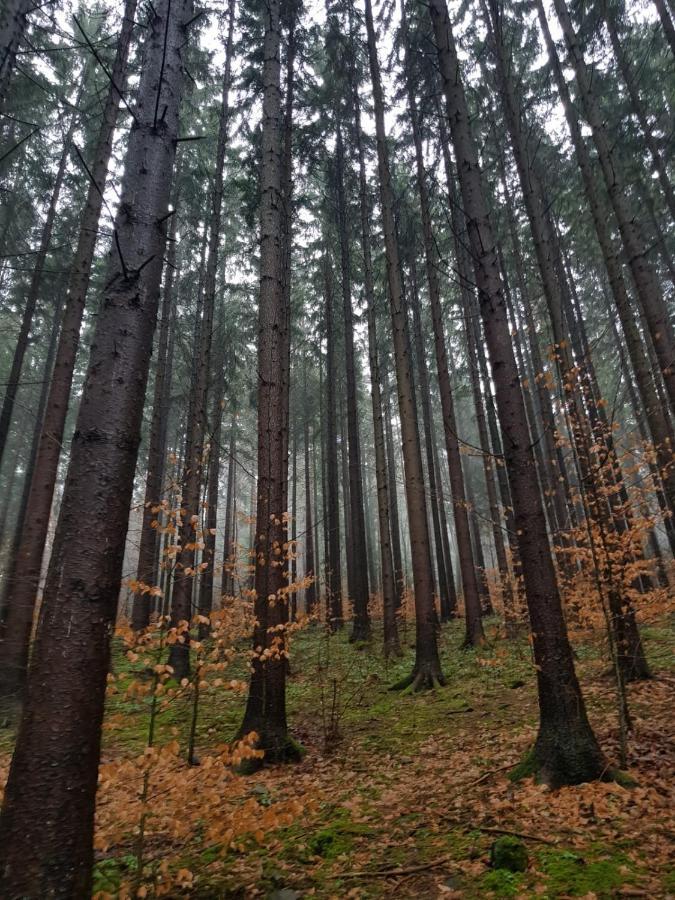 Horska V Srdci Kremnickych Hor * Banska Bystrica