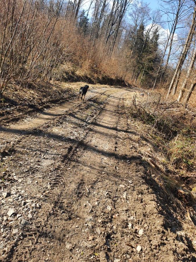 Horska V Srdci Kremnickych Hor Chalet