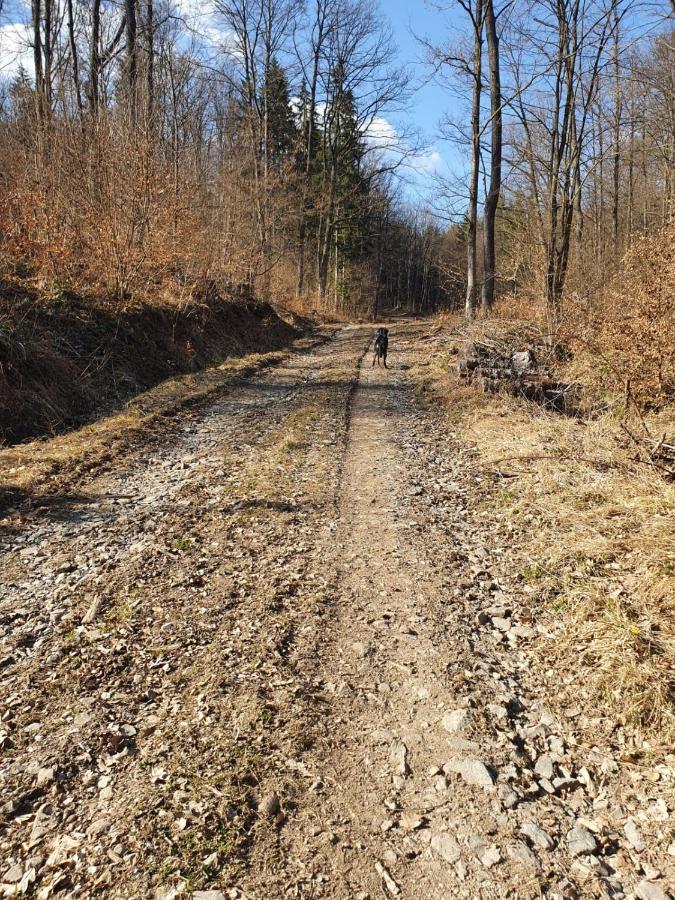 Horska V Srdci Kremnickych Hor
