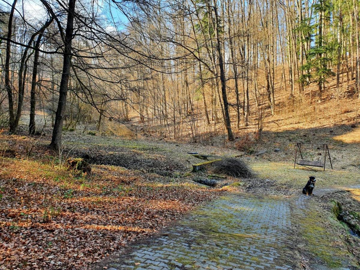 Horska V Srdci Kremnickych Hor * Banska Bystrica